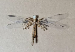 Nicoletta Carlone "Oneida" Dragonfly Hair Barrette