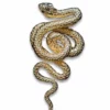 Nicoletta Carlone Shop "Phoebe" Victorian Style Snake Statement Brooch