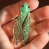 Nicoletta Carlone Shop "Rene" Enamel Art Nouveau Style Cicada Brooch