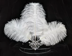 Nicoletta Carlone "Sadie" Feather Crown